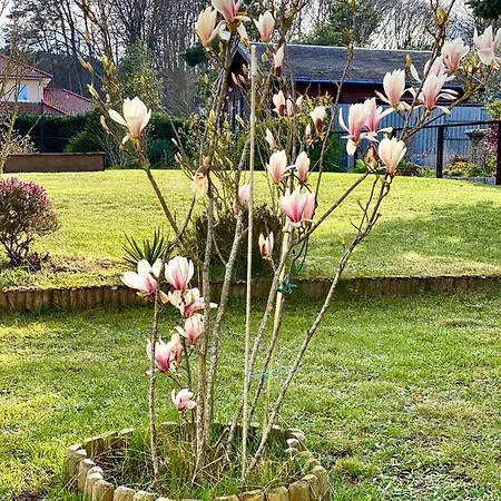 Sunshine Appartement *