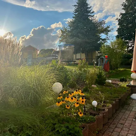 Sunshine * Heringsdorf (Usedom)